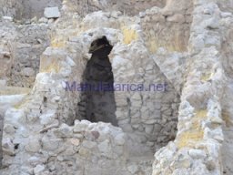 Yacimiento  Sisaya 2007